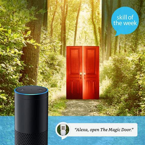 Alexa magic door